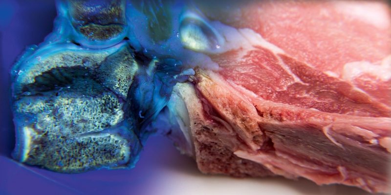 Antibiotics in Meat from German Discount SupermarketsAntibiotika in Fleisch vom Deutschen Discount Supermarkt