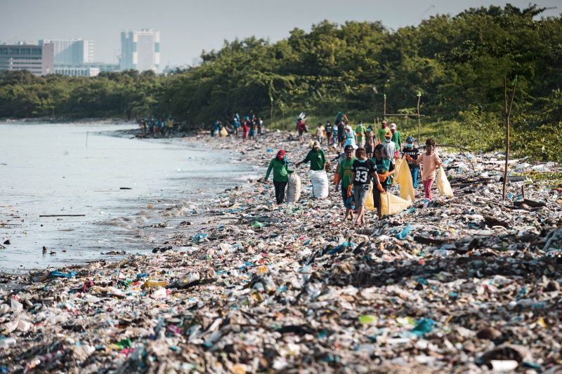 Brand Audit and Waste Audit at Freedom Island