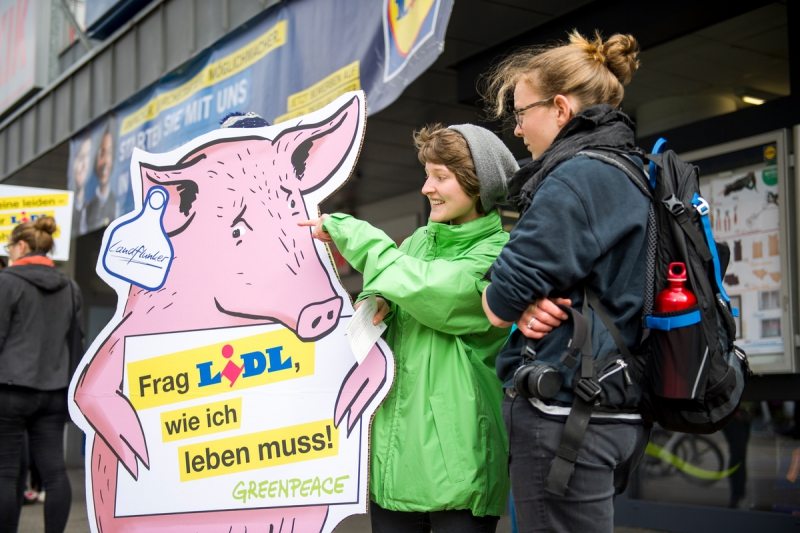 Group Action Day for Better Meat in HamburgGruppenaktionstag fuer bessere Fleischqualitaet in Hamburg