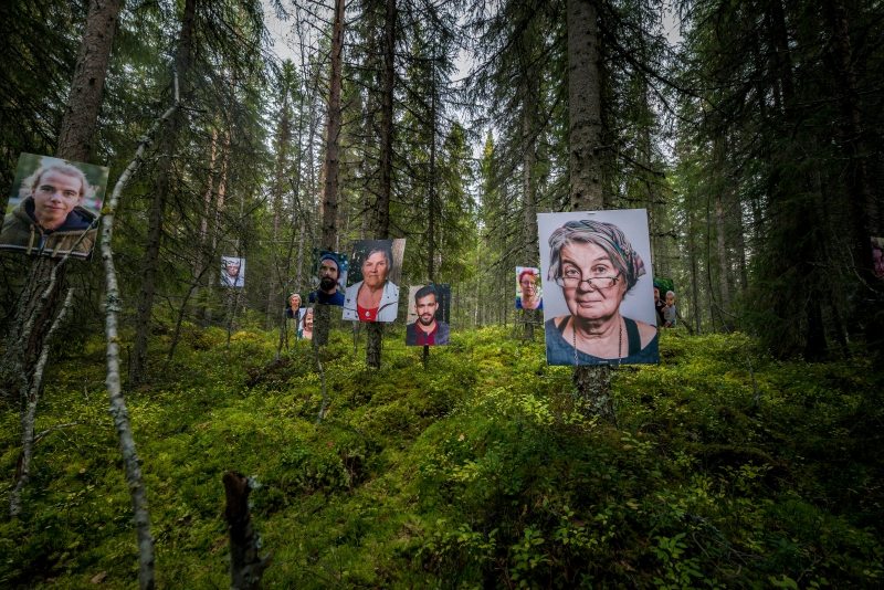 Giant Portraits in Swedish High Value Forest Threatened by Logging