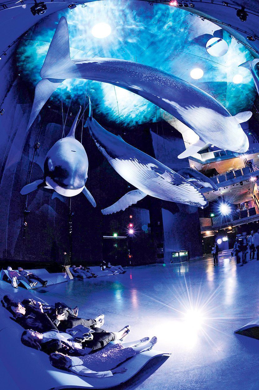 Giants of the Sea Exhibition in Germany
Riesen der Meere Ausstellung