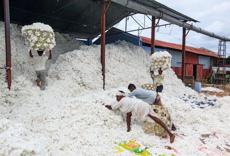 Workers in a Cotton Factory in India