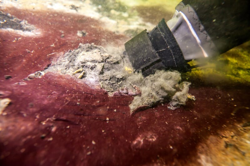  Taucher nehmen vom Meeresgrund Sedimentproben. Der faulige Geruch von Schwefelbakterien weist auf „tote Zonen“ hin