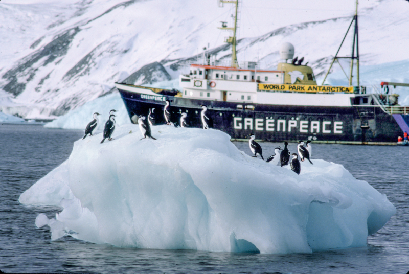 MV Greenpeace in Antarctica