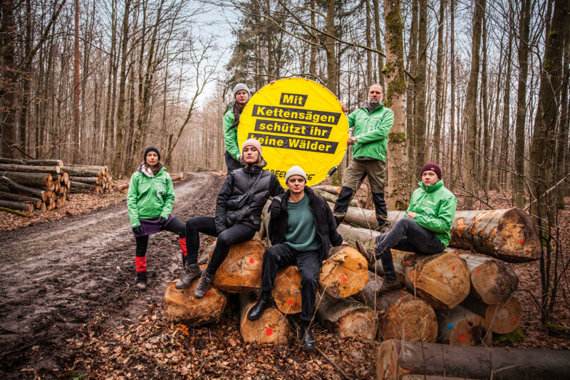 Der bayerische Steigerwald soll Nationalpark werden, fordern verschiedene Organisationen, darunter Greenpeace