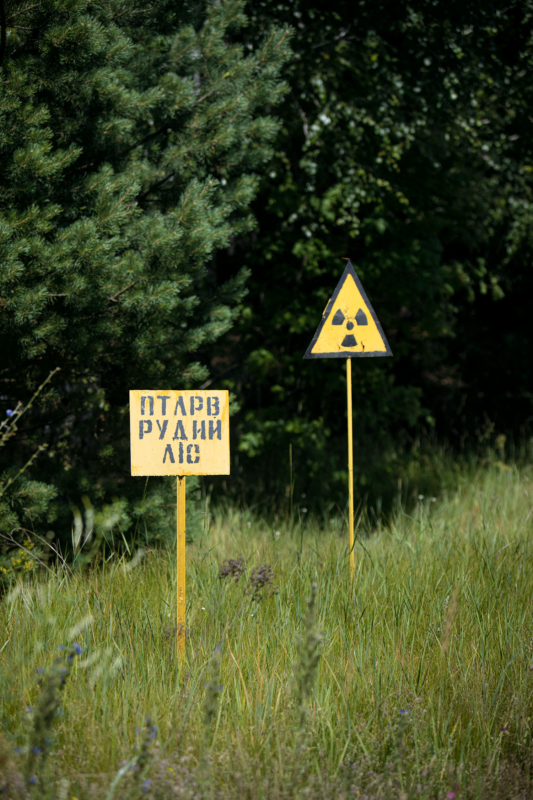 Sperrzone: Diese Schilder warnen vor der nuklearen Gefahr im stark kontaminierten, sogenannten „Roten Wald“