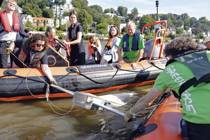 Unterricht auf der Elbe für Schüler:innen der Campus Stadtteilschule Hafen City: Wasserproben werden auf Mikroplastik untersucht