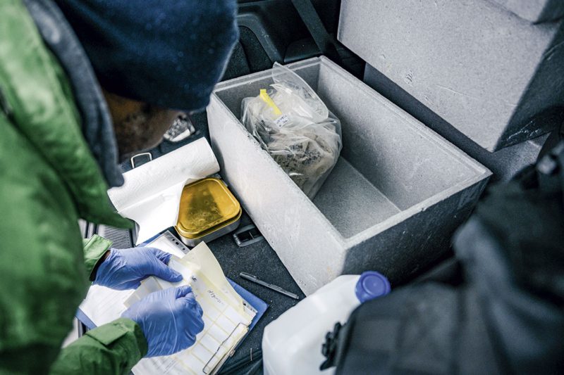 Julios Kontchou etikettiert und verpackt die Wasserproben