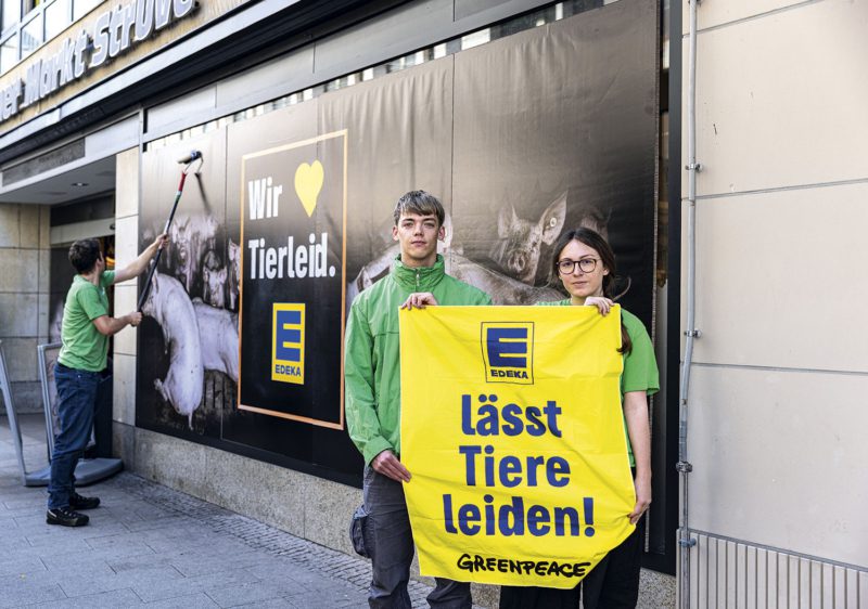 Aktive von Greenpeace protestieren gegen die Supermarktkette Edeka, die Fleisch von Schweinen aus tierschutzwidriger Haltung verkauft.
