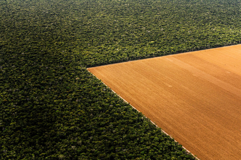 Aerial View of Brazil Rainforest and DestructionRegenwald in Brasilien und seine Zerstoerung.