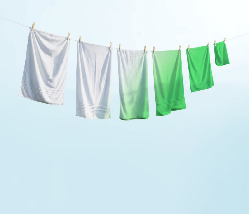 a-photograph-of-a-clothesline-strung-acr_PwGQt9B4TOitIicKlvYfIA_ENrF40FqQd608i4cXRtjqw 2_kor2
